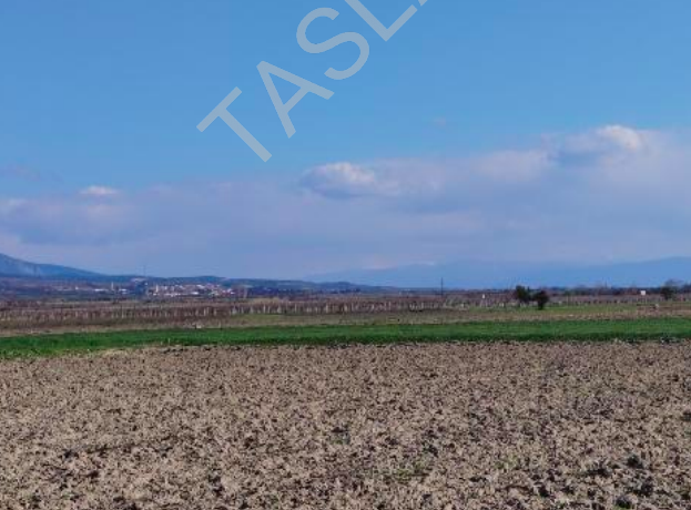 MANİSA SARUHANLI'DA 3.883 M2 SATILIK TARLA (101196502)
